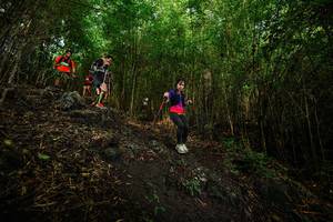 BIB: 
                            <button type="button" onclick="openModal(25098925)" class="btn btn-primary btn-sm float-right btn-popup" data-toggle="modal" data-target=".modal-high-quality">
                        <i class="fas fa-shopping-cart"></i> Add to Cart
                    </button>
                                            <button type="button" onclick="isThisMe(25098925, true)" class="btn btn-success btn-sm float-right btn-popup btn-isme hidden" data-toggle="tooltip" data-placement="bottom" title="นี่คือรูปของคุณใช่ไหม คลิกที่นี่เพื่อเอาเข้าอัลบั้ม">
                        <i class="fas fa-plus"></i> Add to album
                    </button>
                    <button type="button" onclick="isThisMe(25098925, false)" class="btn btn-warning btn-sm float-right btn-popup btn-isnotme hidden">
                        <i class="fas fa-ban"></i> Remove from album
                    </button>